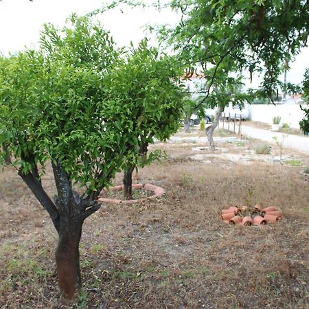 O Mundo Da Lua Villa Azeitao Kültér fotó