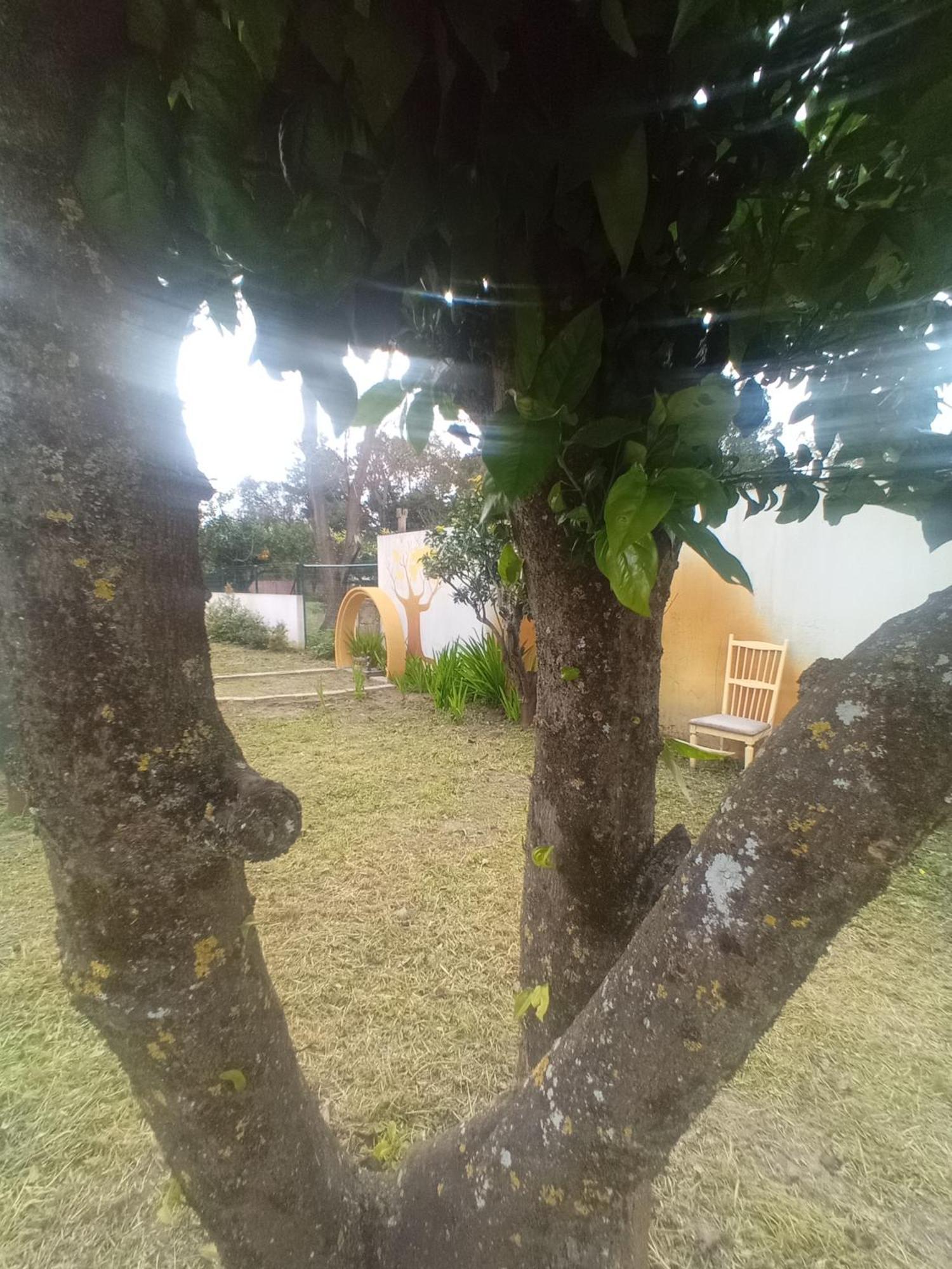 O Mundo Da Lua Villa Azeitao Kültér fotó