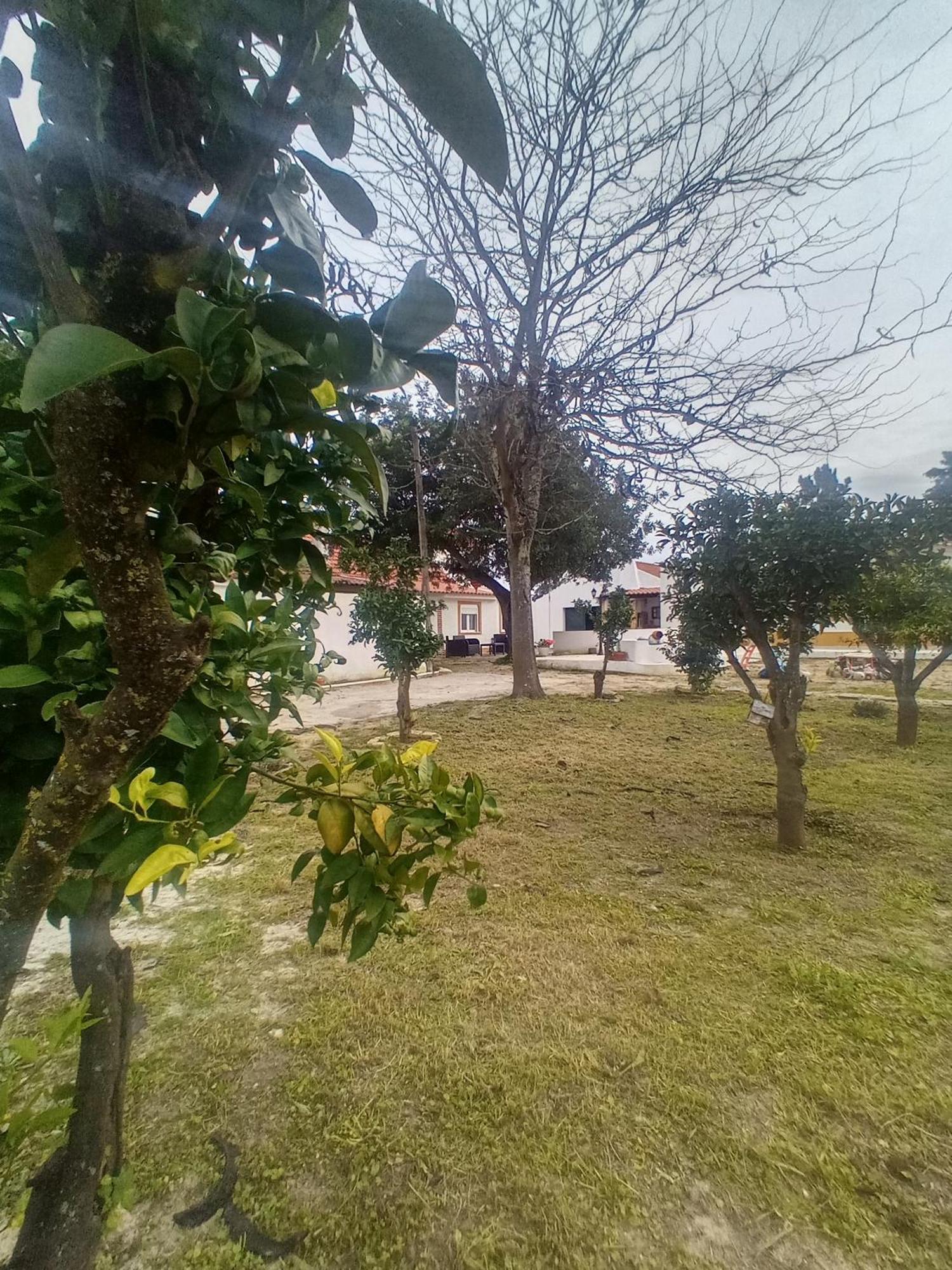 O Mundo Da Lua Villa Azeitao Kültér fotó